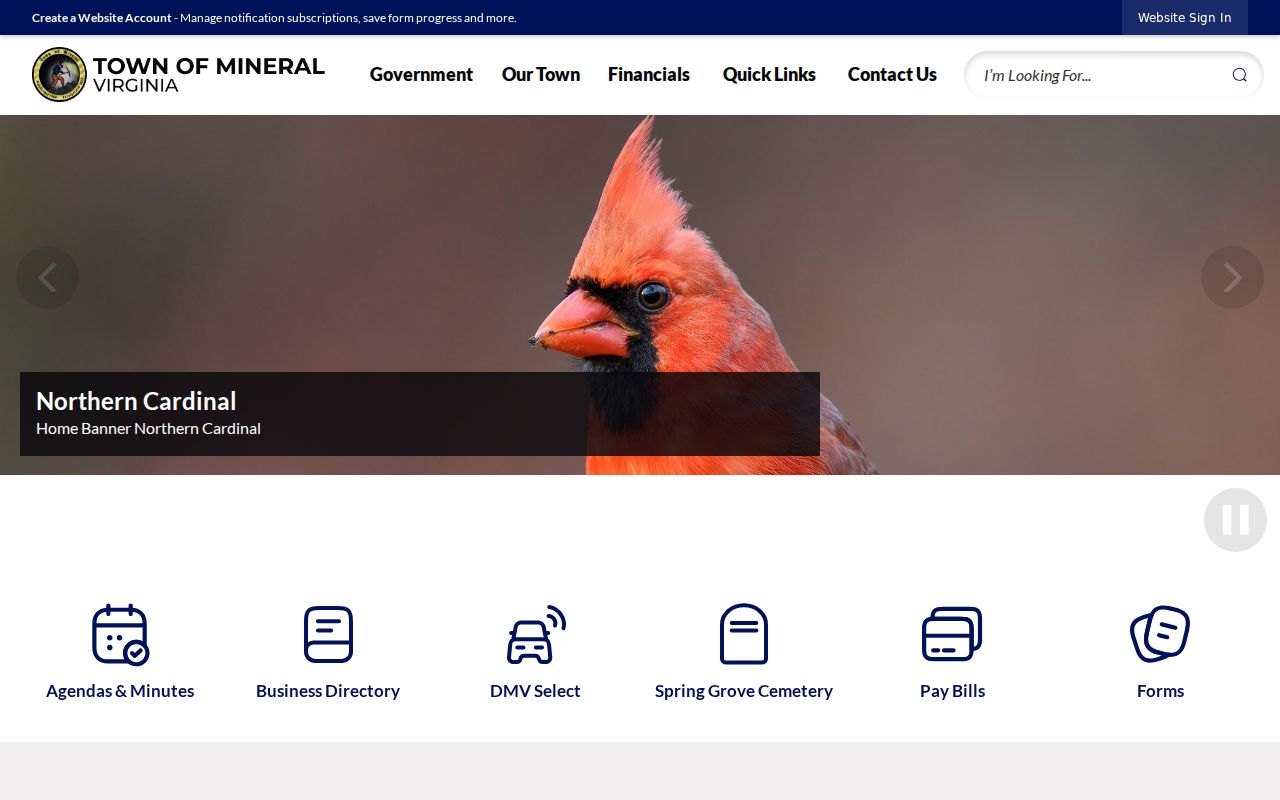Town of Mineral government page for Louisa County criminal record routing